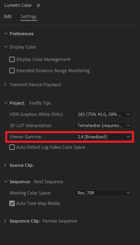 Lumetri Color Viewer Gamma png.png