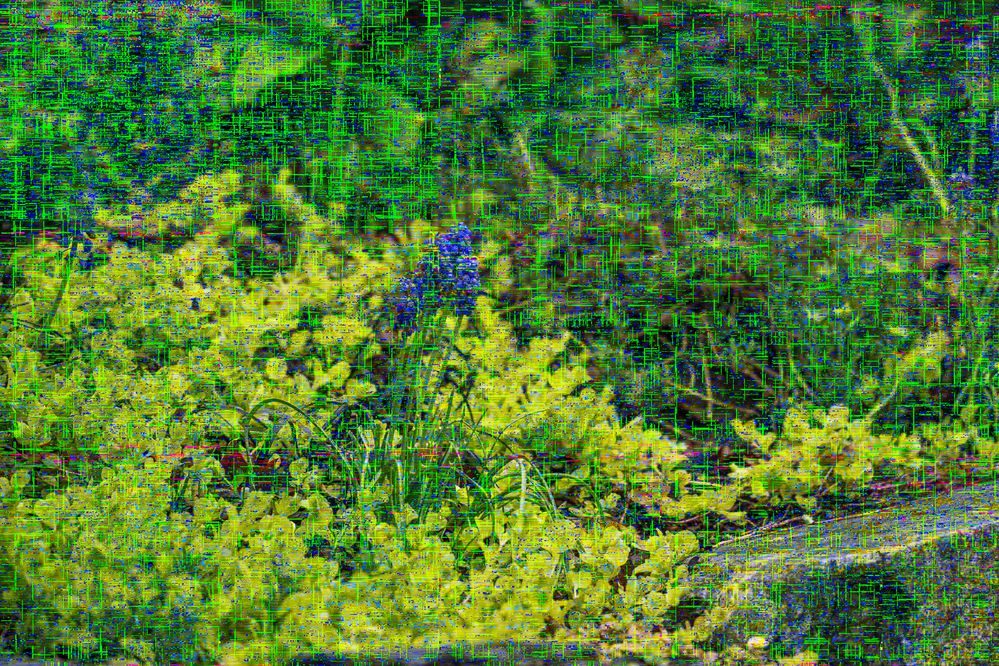 20240420-9803_5.jpg