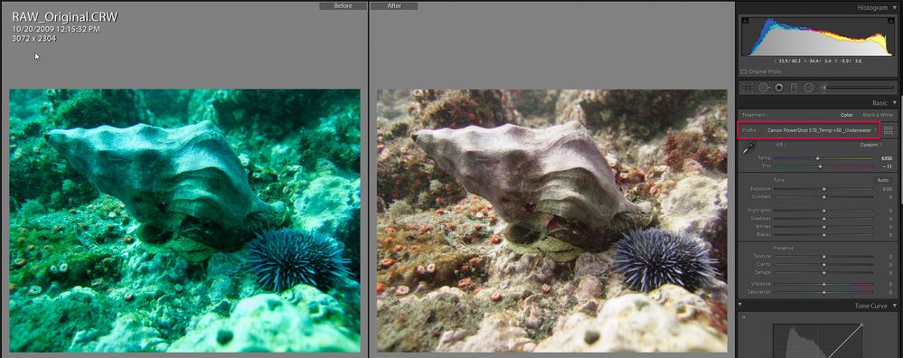 DNG Profile Editor - Underwater-2.jpg