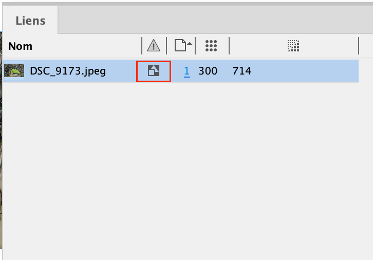 Capture d’écran 2024-05-02 à 14.05.16.png