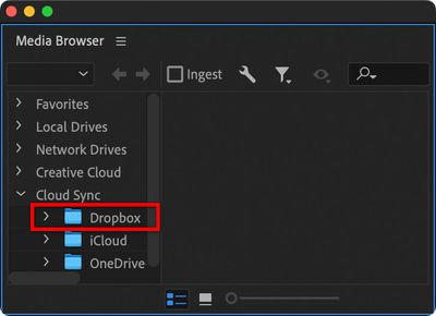 Premiere-Pro-Media-Browser-Dropbox.jpg