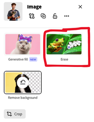 droopydog500_2-1714763766502.png