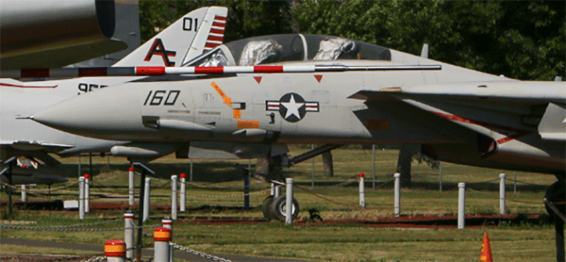 F-14-GhostCat.gif
