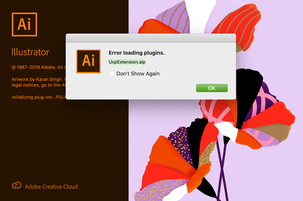 Adobe Ill 24.1 errors