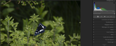 Capture d’écran 2024-05-27 152157.png