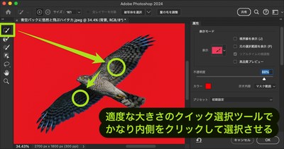 SS_Adobe Photoshop 2024_20240529-114449.png