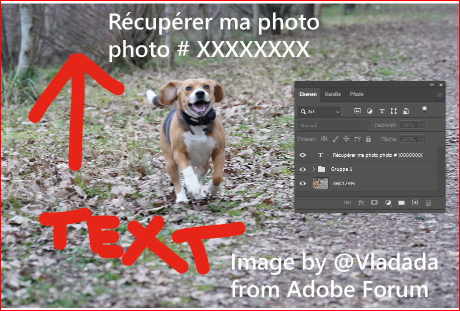 Solved: Re: insérer le [filename] d'une photo importer dan... - Adobe ...