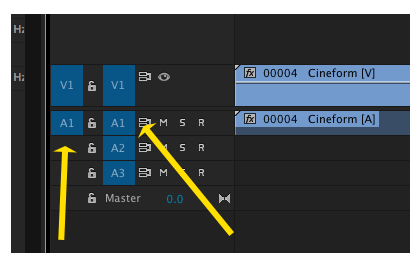 PPRo Audio Routing.png