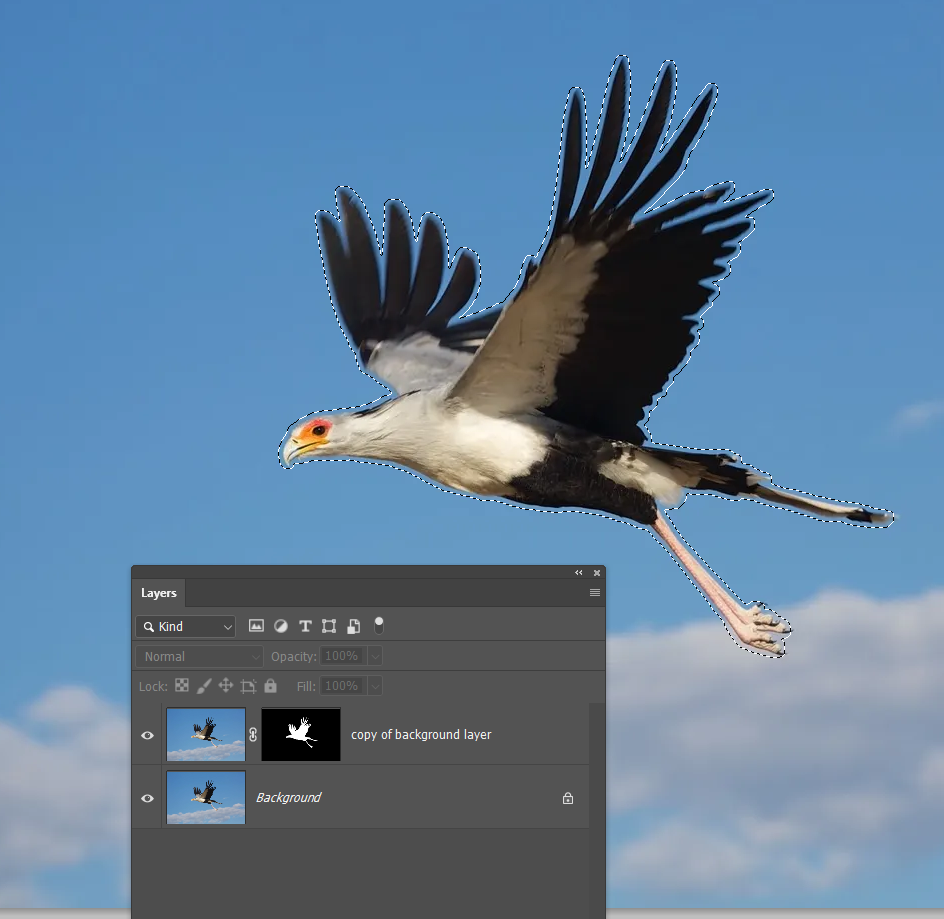 I need to edit a subject and background separately - Adobe 