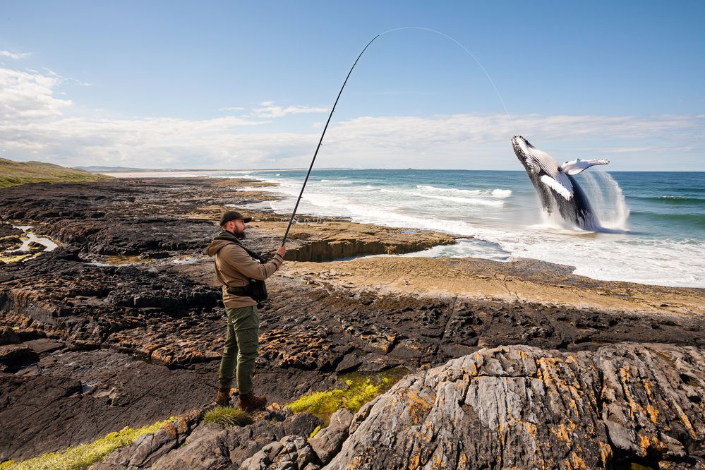 Fishing rod and whale.jpg