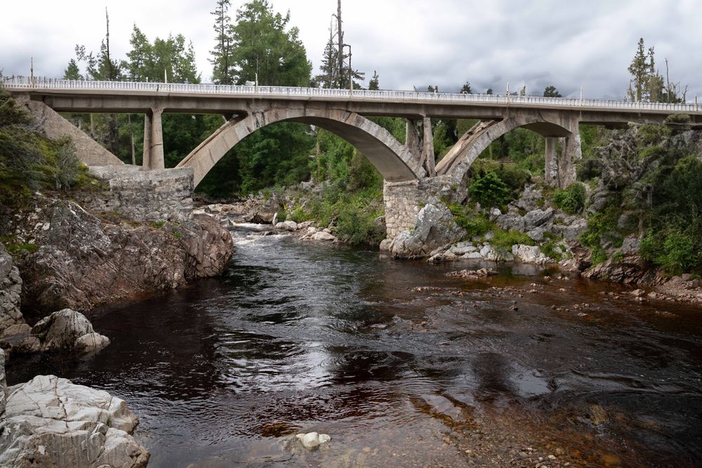 SFTW218Bridge-mod2.jpg