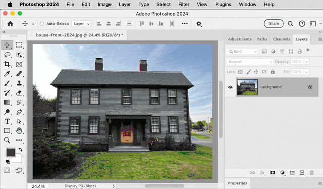 Photoshop saladsamurai beginner 4 Object Selection tool.gif
