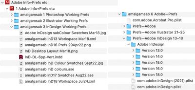 Adobe Info+Prefs etc.jpg