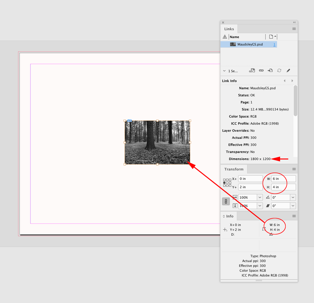 Screen Shot 2.png