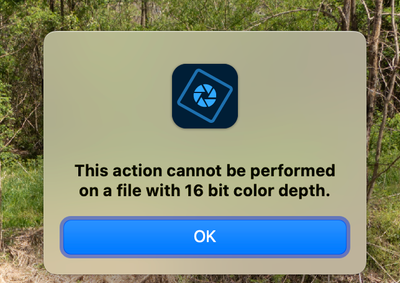 raymonds73447289_1-1723068695347.png