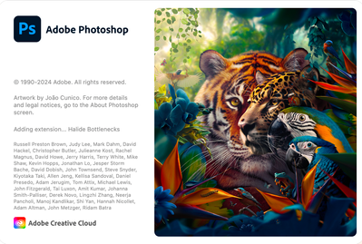 Screenshot 2024-08-11 at 10.47.32 AM.png