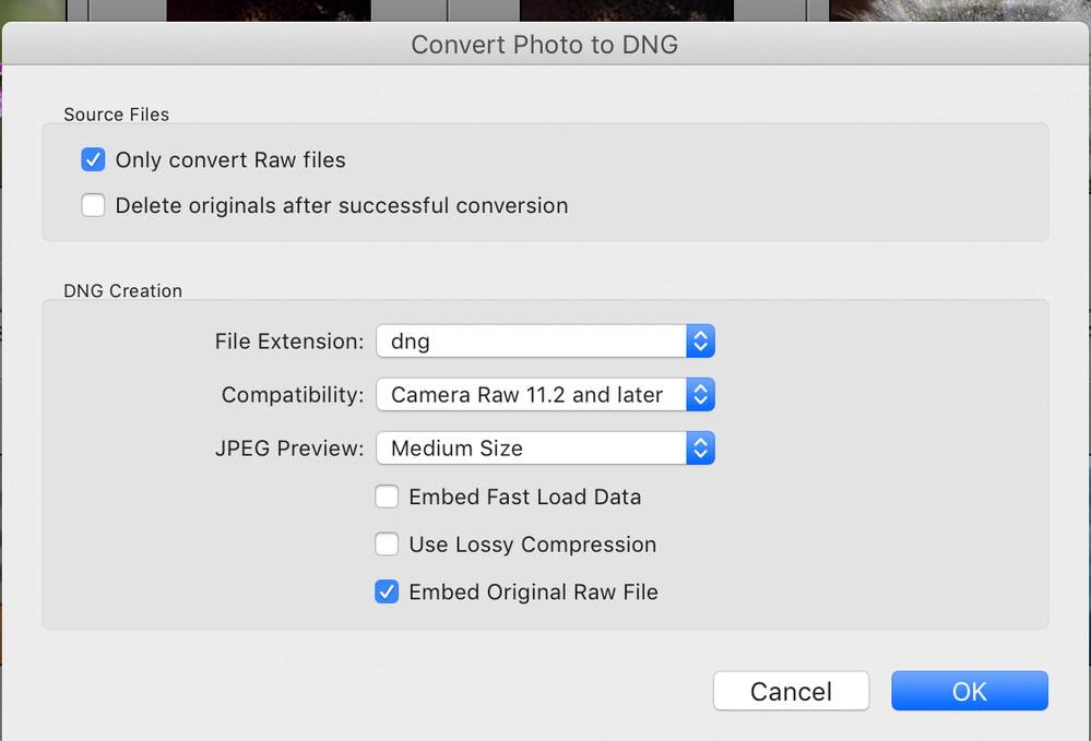 Screen Shot 2020-03-28 at 8.56.25 PM.png