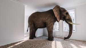 The Elephant in the Room