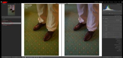 Lightroom Classic color shift HISTORY PANEL.JPG