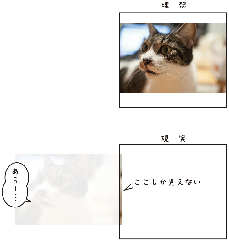 スクリーンショット 2024-08-30 12.25.06.png