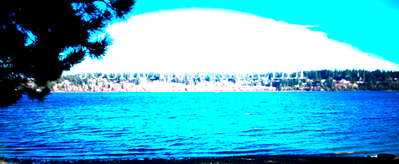 default6g0k7me9sj4z_4-1725000179260.png