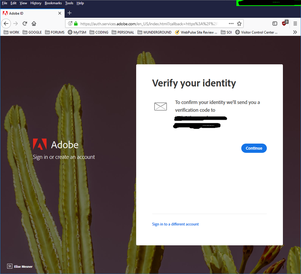 AdobeBSverification.png