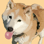 dtpShibaInu