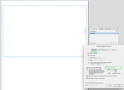 Screen Shot 2024-09-06 at 10.26.50 PM.png