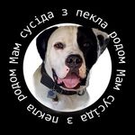 CarpathoRusynBaba