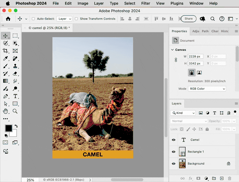 Photoshop Remove Background button.gif