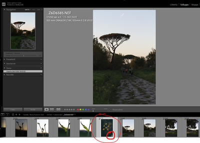 Federico_N_4-1726431787237.png