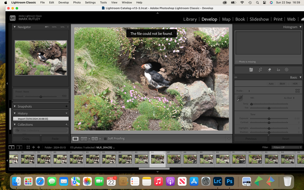 Screenshot 2024-09-22 at 16.39.02.png