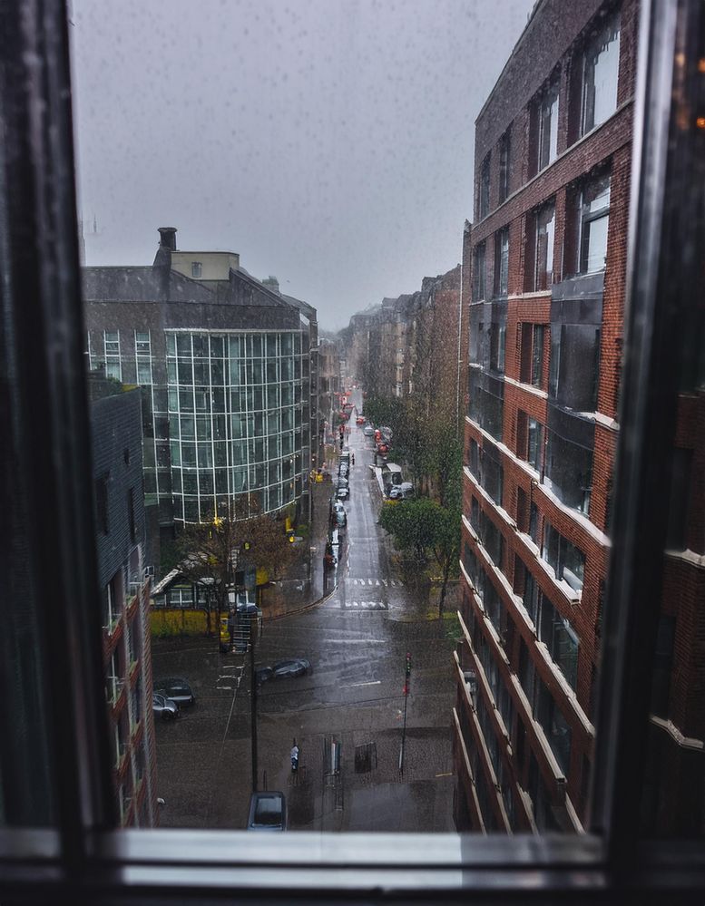 Firefly view from through my window frame, rainy day, looking down at a busy street from a high floo.jpg