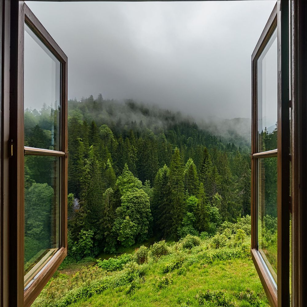 Firefly scene from my window opening into a hillside with dense forest, the afternoon is misty right.jpg