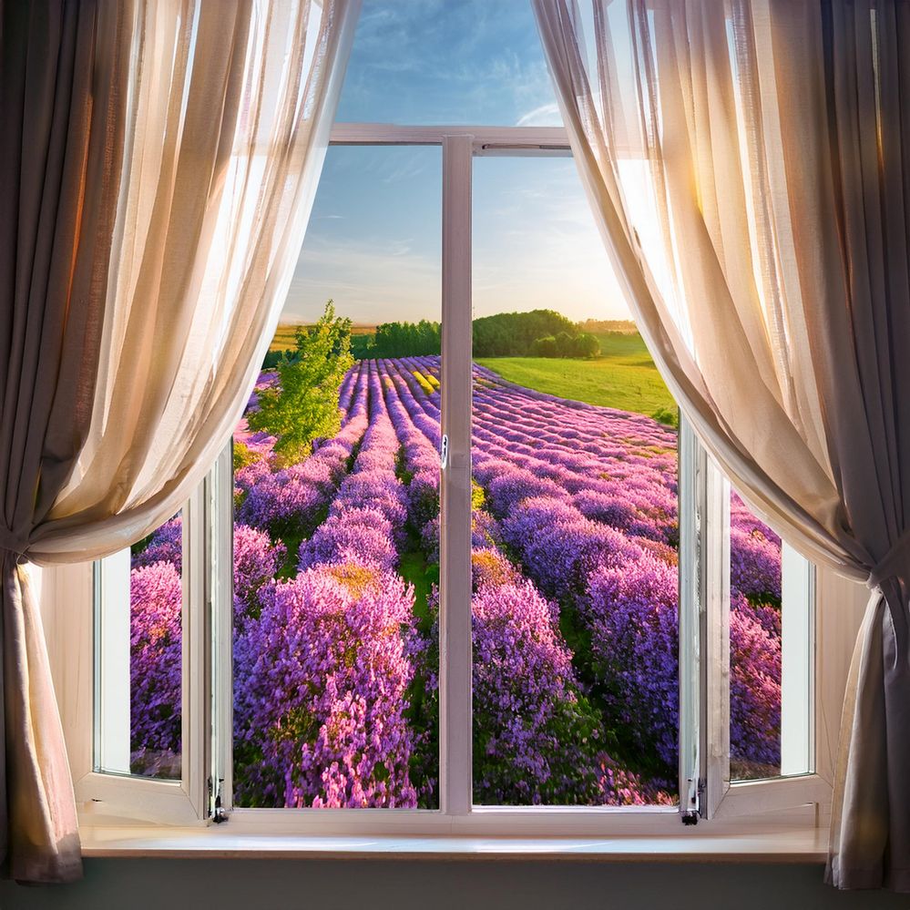 Firefly a window room with a view of the lilac flower field and nature through glass lens, concept r.jpg