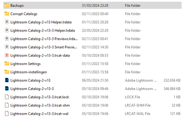 2024-10-05 19_10_53-Lightroom Catalog - File Explorer.png