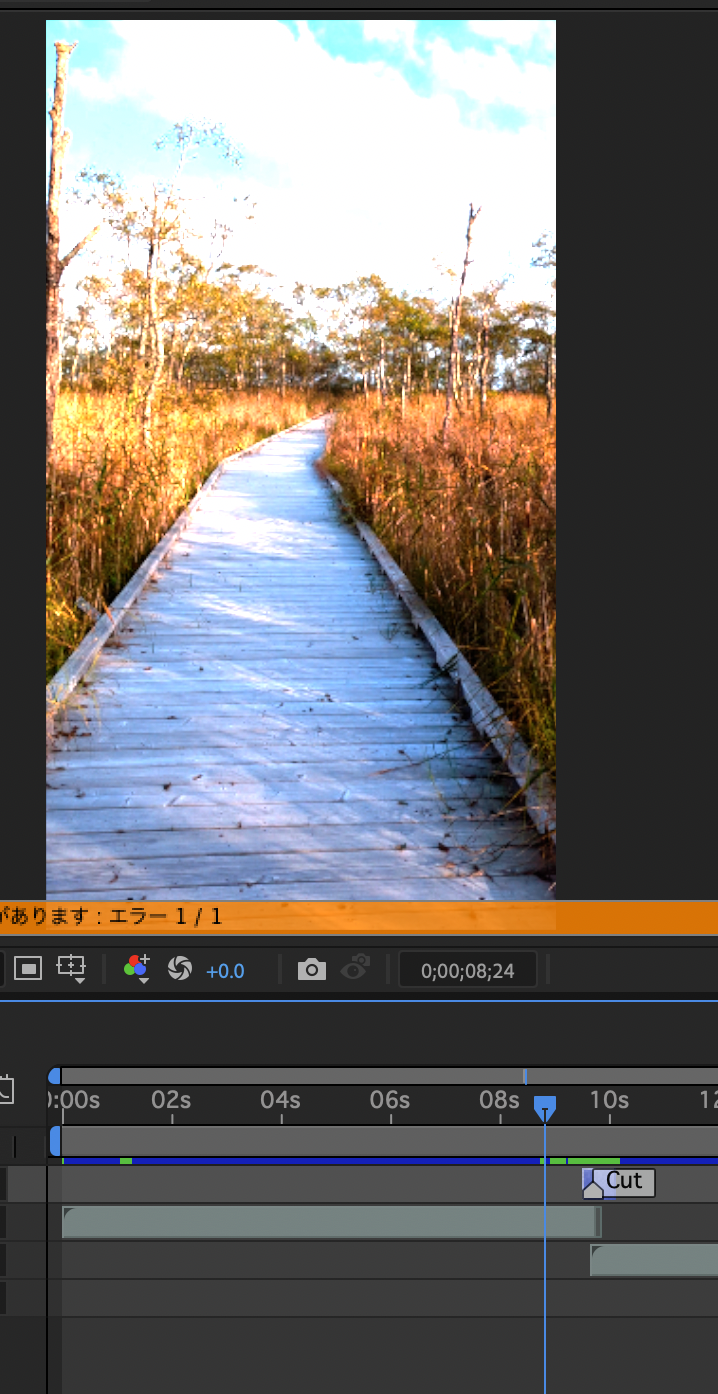 解決済み: HDR動画の書き出しで非常に困っています。 - Adobe Product