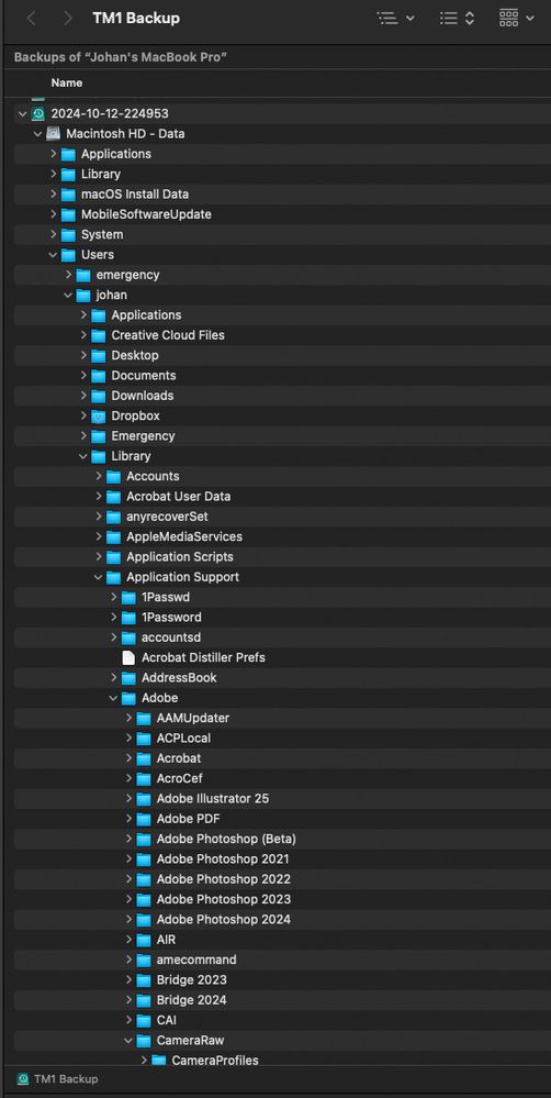 1 2024-10-12 23-41-27.jpg