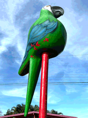 IMG_5944.gif