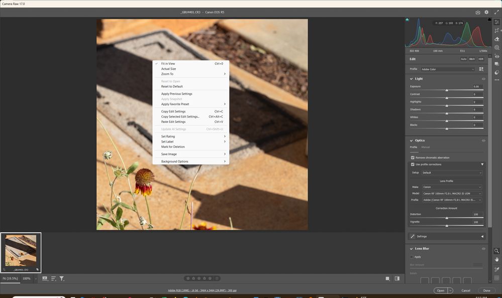 Context Menu.jpg