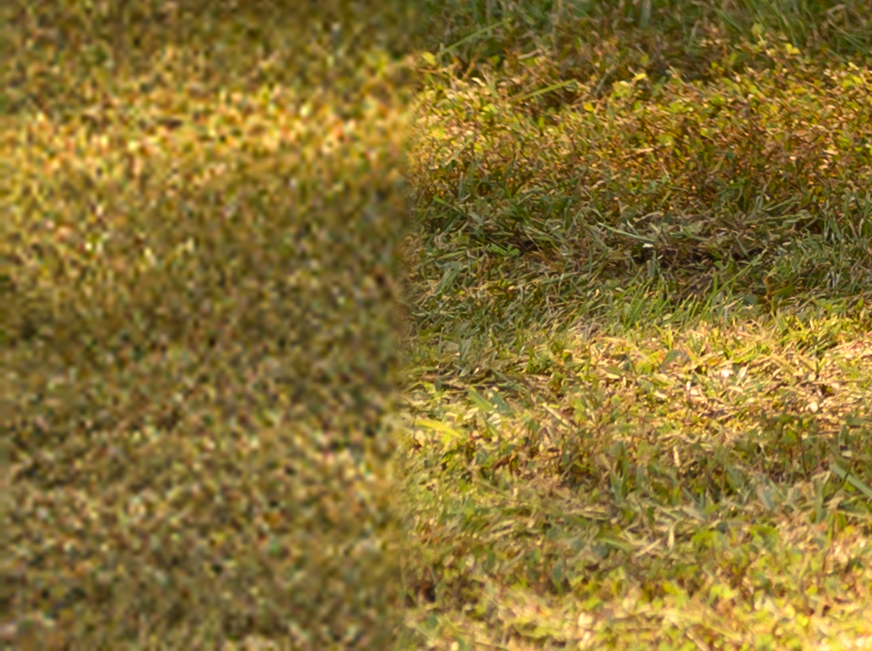 grass sample.png