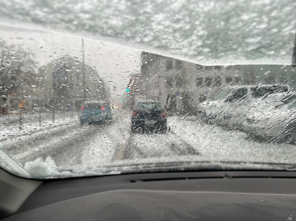 IMG_6943.jpg IMG_6943.jpg