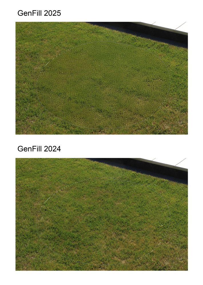 GenFill Issues 2025 vs 2024.jpg