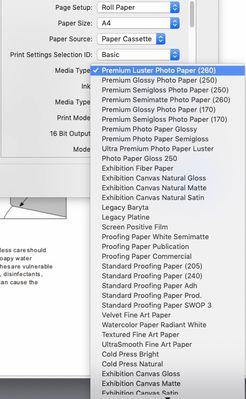 Media options, Epson driver.jpg