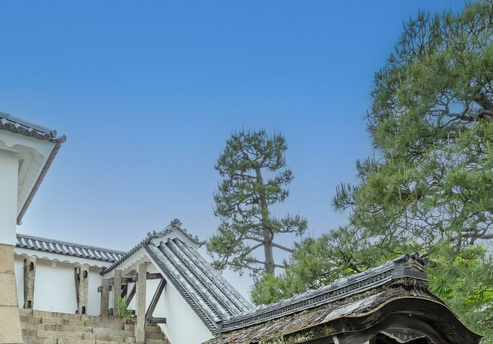 Historic Site Former Imperial Villa Nijo Castle in Kyoto, Japan.jpg