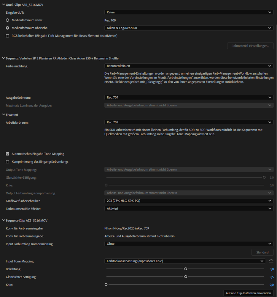 These are the sequence settings, which are applied to the clip