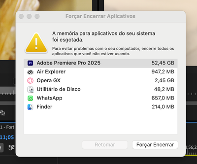 Captura de Tela 2024-11-11 às 14.37.29.png