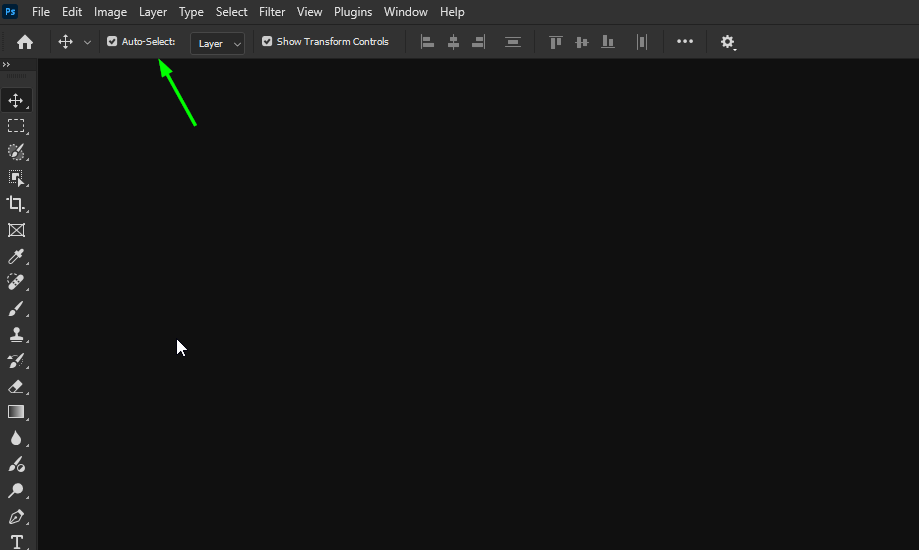 2024-11-14 15_03_11-Adobe Photoshop 2025.png