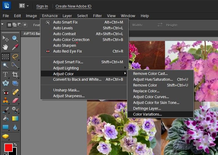 Adobe Photoshop Elements-10 Color variations.jpg