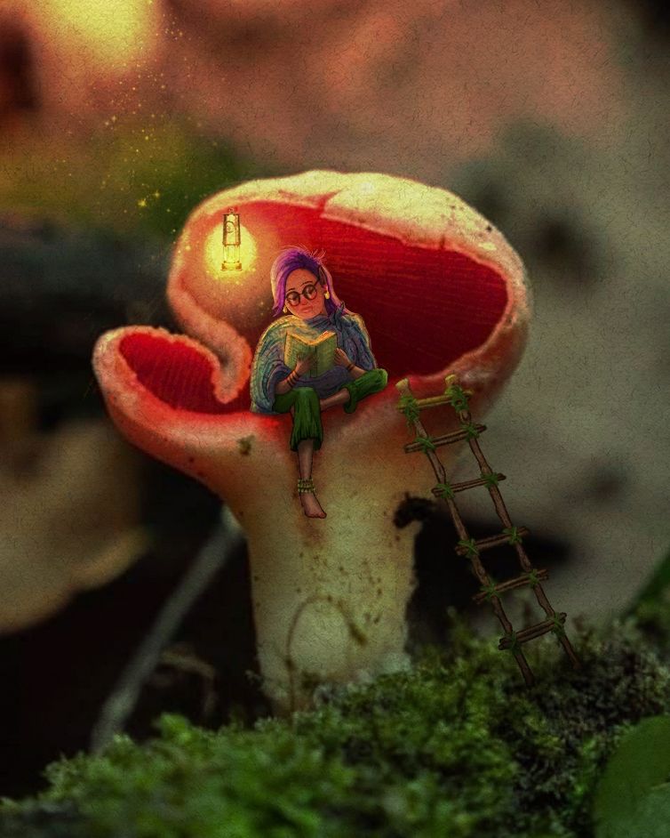 Shroom Pixie reading by lamplight